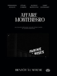 The Montenegro Affair