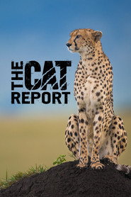 The Cat Report