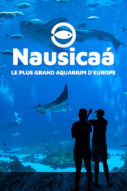 Nausicaa: The Largest Aquarium in Europe