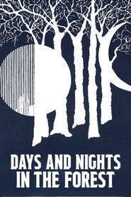 Days and Nights in the Forest