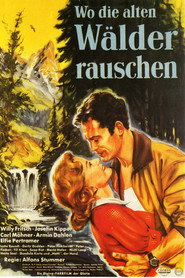 Wo die alten Wälder rauschen