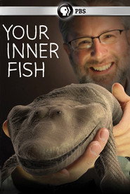 Your Inner Fish