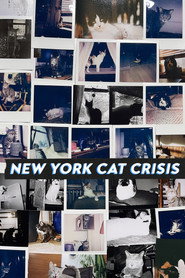 New York Cat Crisis