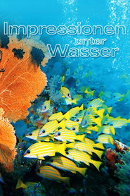 Underwater Impressions