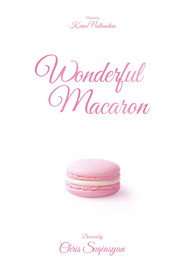 Wonderful Macaron