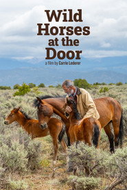 Wild Horses at the Door