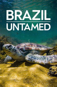 Brazil Untamed