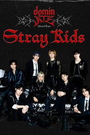 Beyond Live — Stray Kids World Tour dominATE in SEOUL