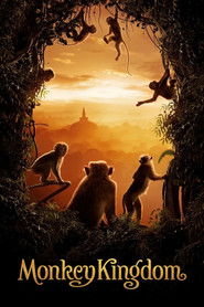 Monkey Kingdom