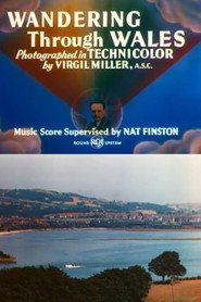 Wandering Through Wales