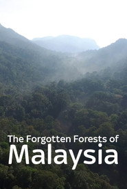 The Forgotten Forests of Malaysia