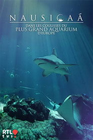 Nausicaá : Dans les coulisses du plus grand aquarium d'Europe