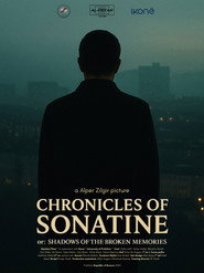Chronicles of Sonatine or: Shadows of the Broken Memories