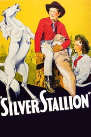 Silver Stallion
